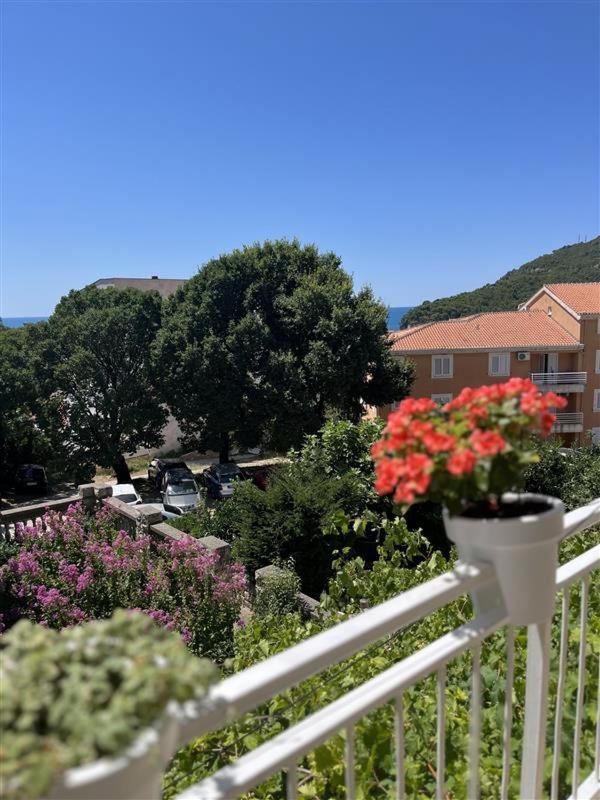 Apartmani Neda Bane Petrovac na moru Exterior foto