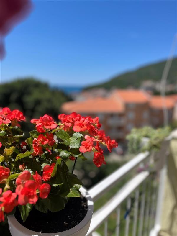 Apartmani Neda Bane Petrovac na moru Exterior foto