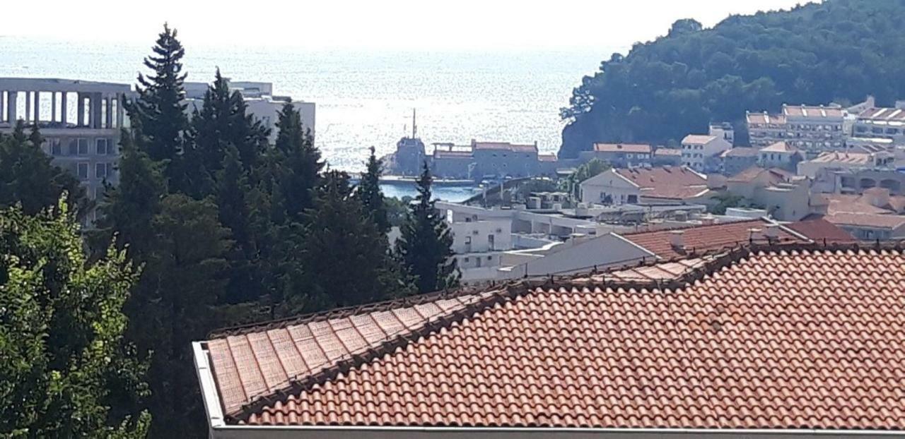 Apartmani Neda Bane Petrovac na moru Exterior foto